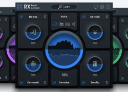 iZotope iZotope RX 10 (***Elements***)